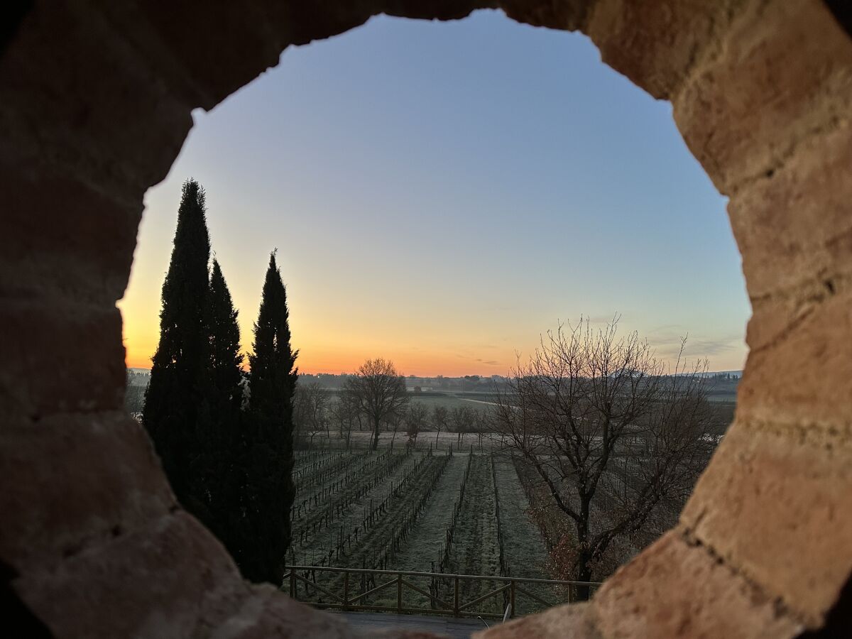 Ferienwohnung Torrita di Siena Außenaufnahme 21