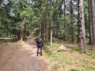 Waldweg zum Predigtstuhl
