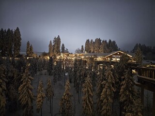 Waldgipflweg Bereich Weihnachtsstimmung