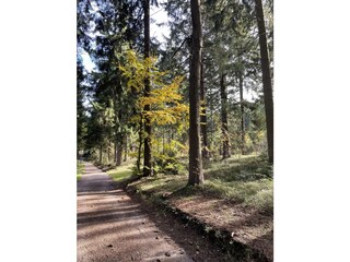 Wanderwege laden ein