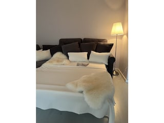 Schlafsofa (140cm) / Wohnzimmer