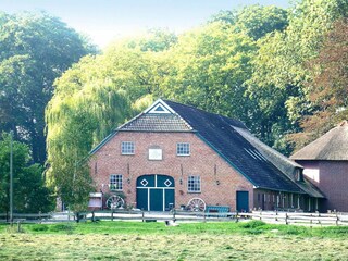 Appartamento Norderschweiburg Registrazione all'aperto 1