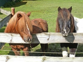 Appartamento Norderschweiburg  33