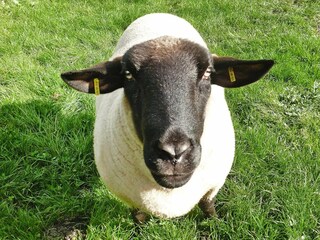 Appartement Norderschweiburg  32