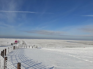 Apartment Norderschweiburg Außenaufnahme 3