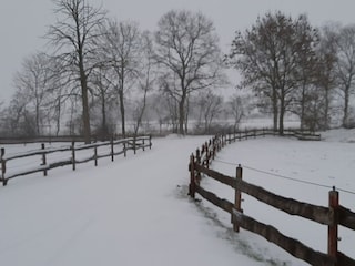 Apartment Norderschweiburg Außenaufnahme 4