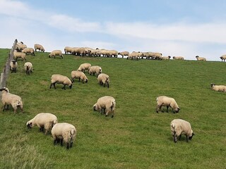 Appartamento Norderschweiburg Ambiente 23