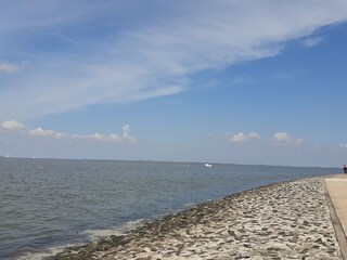 Appartement Norderschweiburg Environnement 30