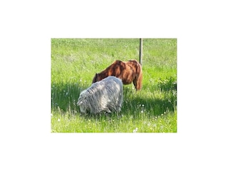 Apartment Norderschweiburg Außenaufnahme 6