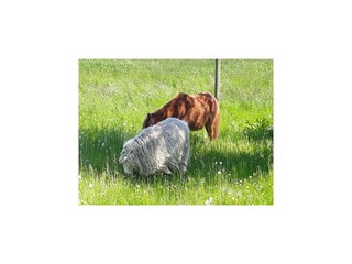 Appartamento Norderschweiburg Registrazione all'aperto 6