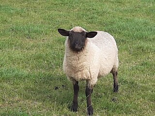 Appartamento Norderschweiburg Ambiente 29