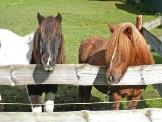Appartamento Norderschweiburg Ambiente 12