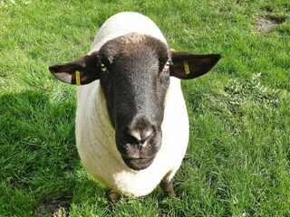 Appartamento Norderschweiburg  20