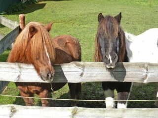 Appartamento Norderschweiburg Ambiente 14