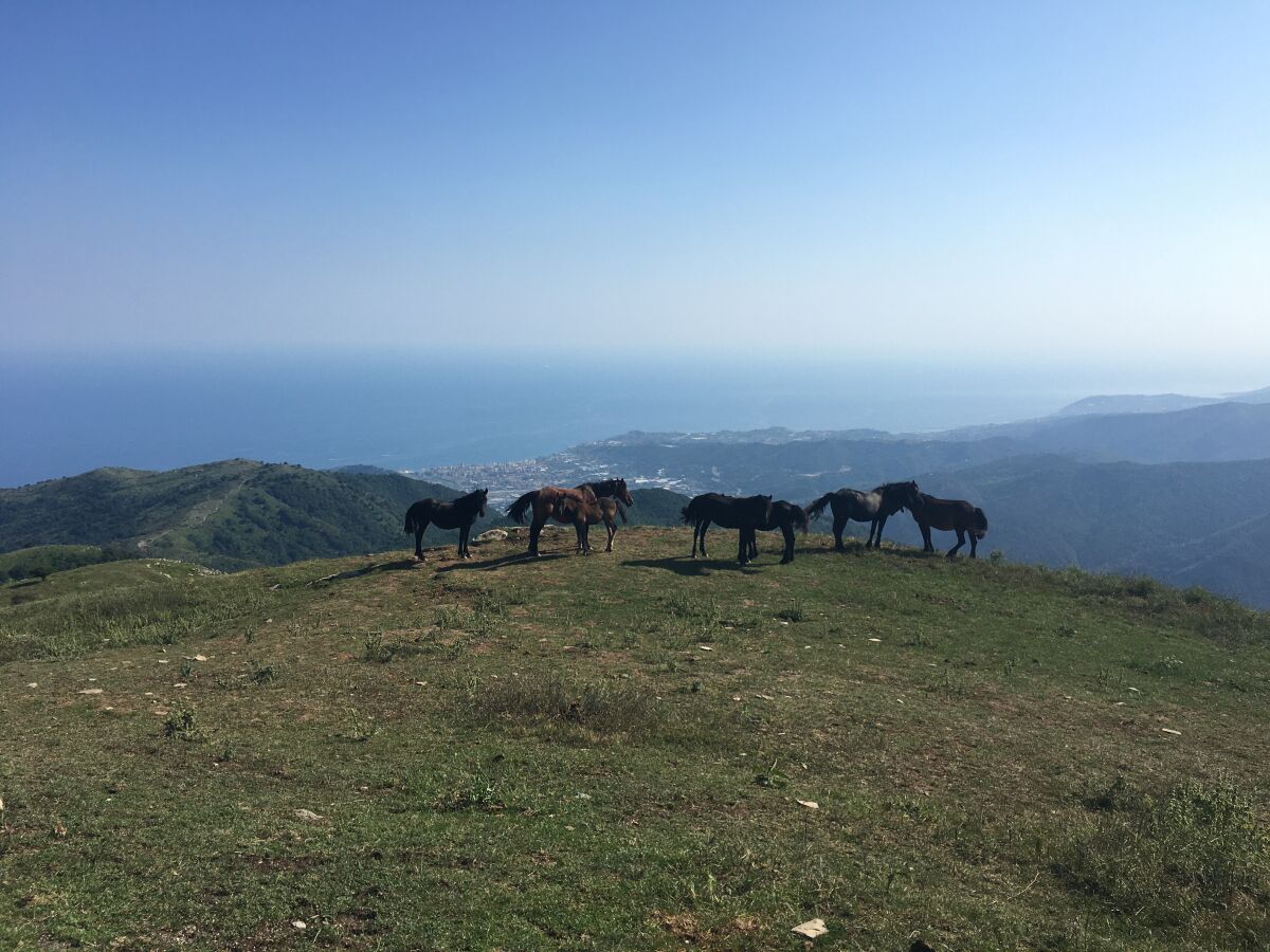 Spaziergang Berg Faudo mit Blick auf Imperia