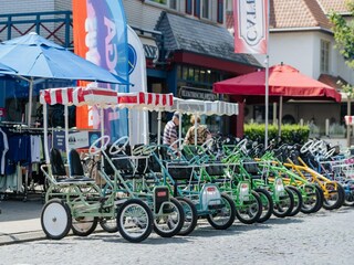 Ferienhaus De Haan Umgebung 18