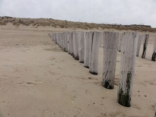 Appartement Domburg  24