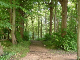 Appartamento Domburg Ambiente 26