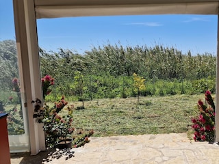 Eco Banana Home Finikounda - Gartensicht