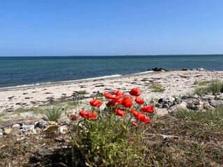 Casa per le vacanze Otterup  39