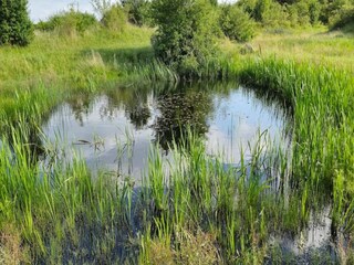 Holiday house Hesselager  26