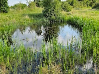 Ferienhaus Hesselager  19