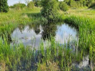 Holiday house Hesselager  19