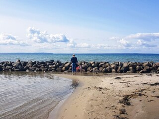 Ferienhaus Bogense  23