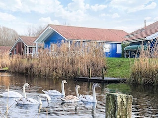 Ferienhaus Otterndorf Außenaufnahme 3