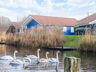 Casa per le vacanze Otterndorf Registrazione all'aperto 4