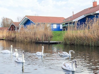 Ferienhaus Otterndorf  15