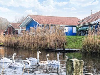 Maison de vacances Otterndorf Enregistrement extérieur 4