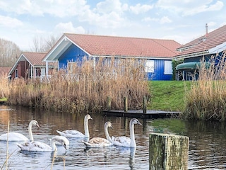 Vakantiehuis Otterndorf Buitenaudio-opname 4