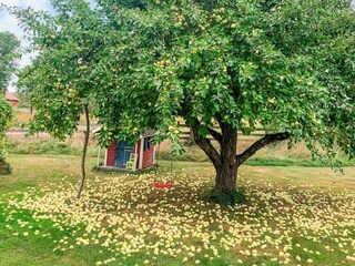 Ferienhaus Herräng Außenaufnahme 1