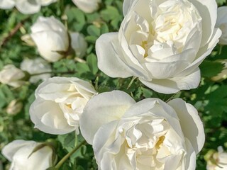 Vakantiehuis Herräng  13