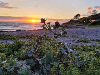 Casa per le vacanze Kelstrup Strand  7