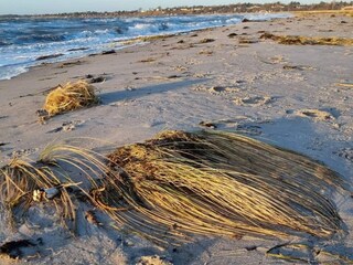 Casa per le vacanze Kelstrup Strand  19