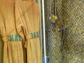 Ferienpark La Ferté-Macé  39