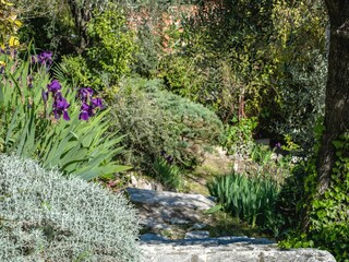 Villa Grasse Environment 44
