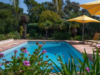 Villa Sainte-Maxime Grabación al aire libre 7