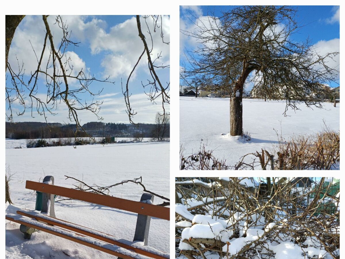 Grenzbachtal im Winter