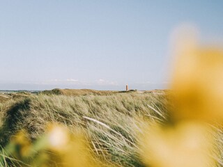 Ferienwohnung Julianadorp Umgebung 26