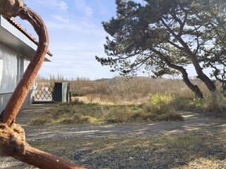 Ferienhaus Holland Außenaufnahme 2