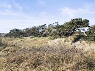 Ferienhaus Holland Außenaufnahme 4