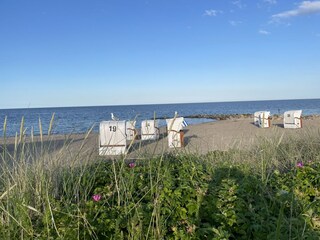 Strand in Schönhagen