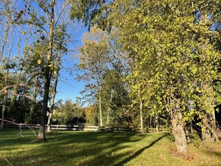 Blick in Richtung Schlossteich