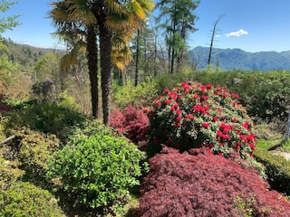 Villa Bee Registrazione all'aperto 11