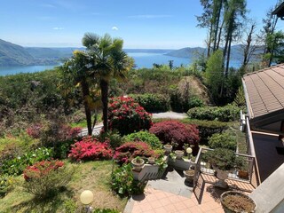 Villa Bee Grabación al aire libre 12