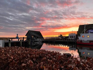 Zingster Hafen