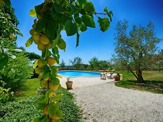 Villa Radetići Grabación al aire libre 9